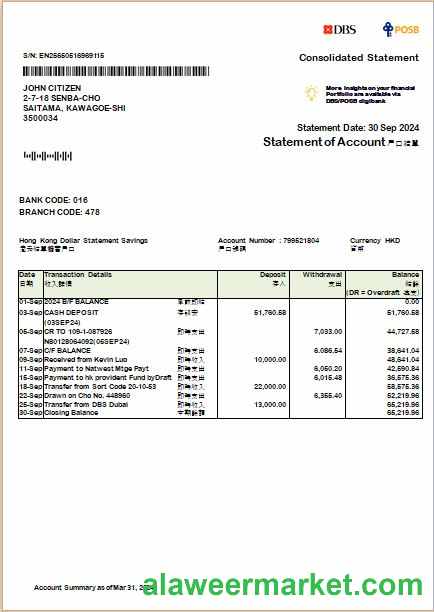 Hong Kong DBS bank consolidated statement Word and PDF template scr